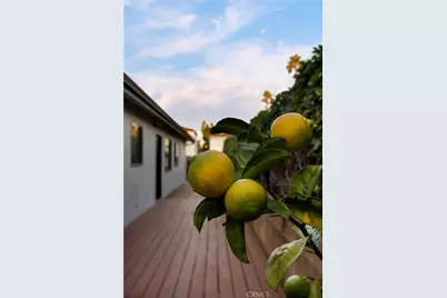 1247 25th Street, Santa Monica, CA 90404 - Photo 32