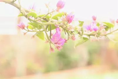 18311 S Harvard Boulevard, Gardena, CA 90248 - Photo 36