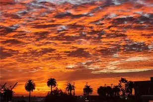 285 W 6th, San Pedro, CA 90731 - Photo 4