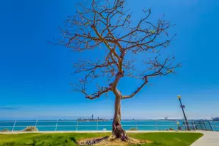 2999 E Ocean Blvd, Long Beach, CA 90803 - Photo 64