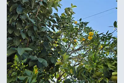 17700 Western Avenue #1, Gardena, CA 90248 - Photo 30