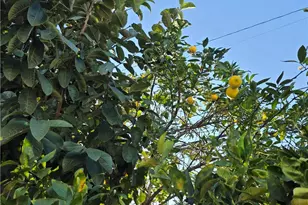 17700 Western Ave, Gardena, CA 90248 - Photo 30