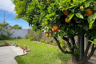 1123 W 213th, Torrance, CA 90502 - Photo 20