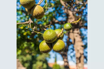 1680 S Rimpau Boulevard, Los Angeles, CA 90019 - Photo 32