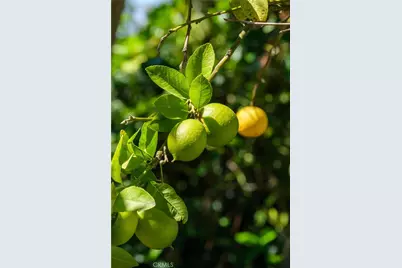 26935 Whitestone Road, Rancho Palos Verdes, CA 90275 - Photo 46