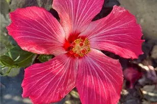 13608 Yukon Ave, Hawthorne, CA 90250 - Photo 38