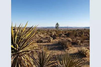 7275 Saddleback, Joshua Tree, CA 92252 - Photo 1