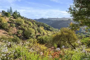 2345 Roscomare Road, Los Angeles, CA 90077 - Photo 24