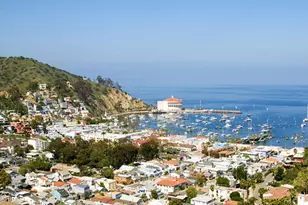335 Clemente Ave, Avalon, CA 90704 - Photo 12