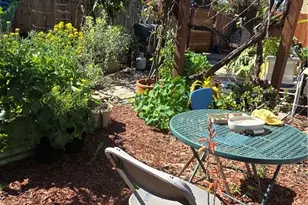700 W 77th, Los Angeles, CA 90044 - Photo 24