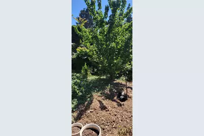 5031 Granada, Los Angeles, CA 90042 - Photo 10