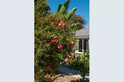 3411 S Cloverdale Avenue, Los Angeles, CA 90016 - Photo 24