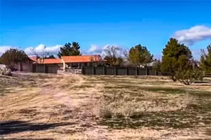32710 Peach Tree Ln, Pearblossom, CA 93553 - Photo 1