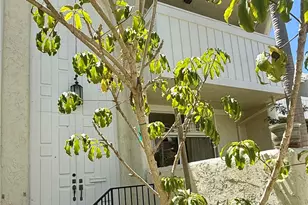 415 2nd, Hermosa Beach, CA 90254 - Photo 2