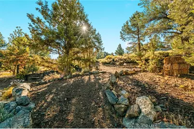 1627 Baldwin Lake, Big Bear City, CA 92314 - Photo 46