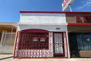 1243 N Avalon Blvd, Los Angeles, CA 90744 - Photo 1