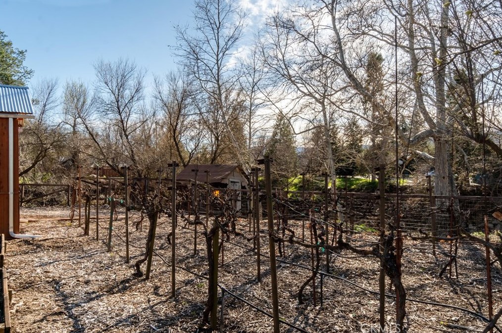 16850 Walnut Ave, Atascadero CA  93422-6622 exterior