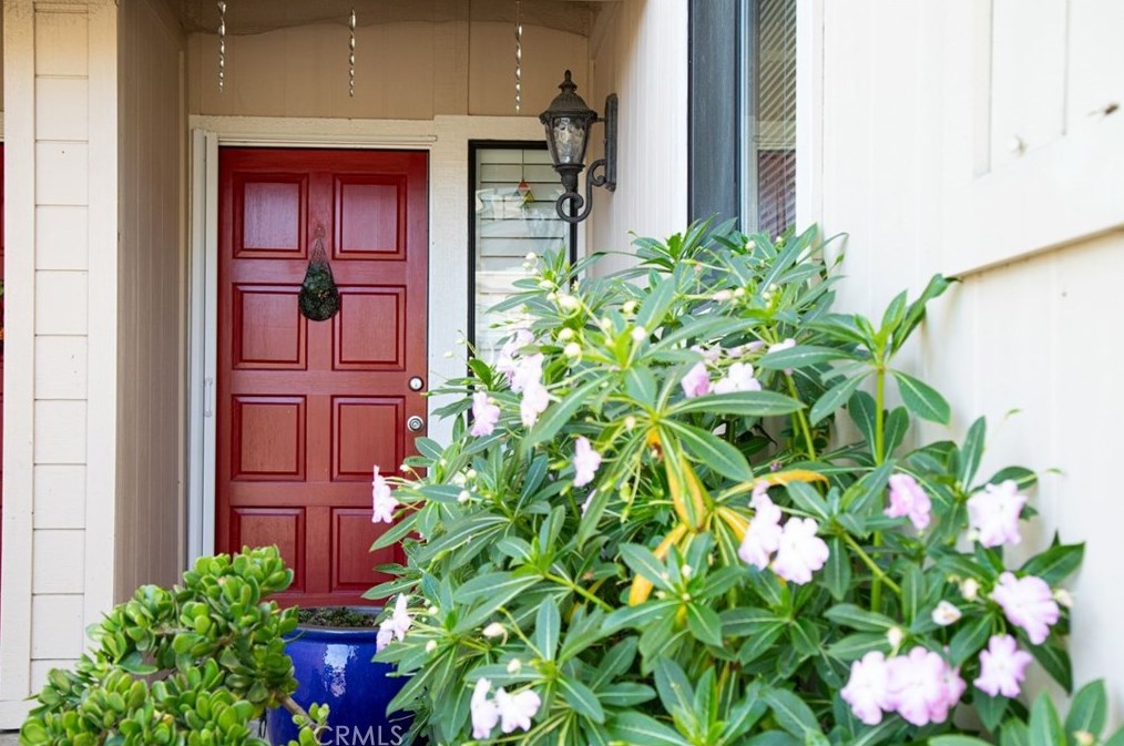 9365 Jasper Ave #3, Ragged Point, CA 93452