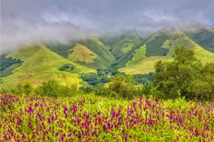 7515 Santa Rosa Creek Rd, Cambria, CA 93428 - Photo 60