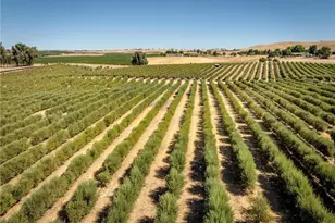 5055 Rancho La Loma Linda Dr, Paso Robles, CA 93446 - Photo 4