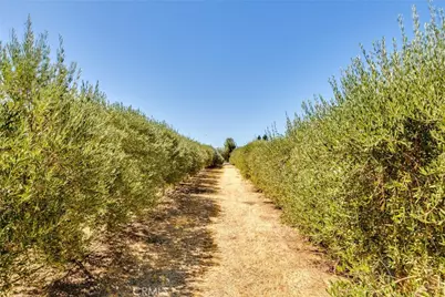 5055 Rancho La Loma Linda Drive, Paso Robles, CA 93446 - Photo 38