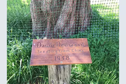 4275 Wall Street, Cambria, CA 93428 - Photo 6