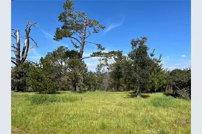 2540 Malvern Street, Cambria, CA 93428 - Photo 8