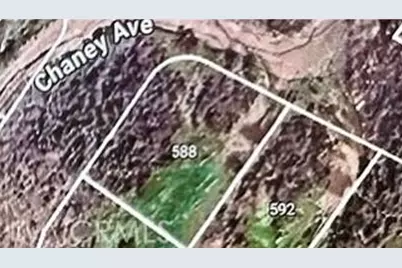 588 Chaney Avenue, Cayucos, CA 93430 - Photo 6