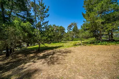 6475 Kathryn Drive, Cambria, CA 93428 - Photo 8