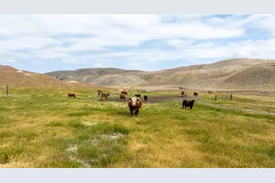 8050 Bitterwater Road, Shandon, CA 93461 - Photo 30