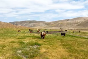 8050 Bitterwater Rd, Shandon, CA 93461 - Photo 30