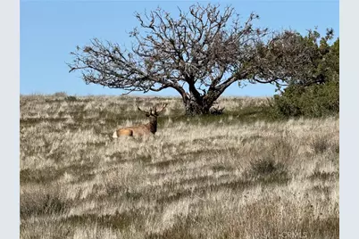 8050 Bitterwater Road, Shandon, CA 93461 - Photo 40