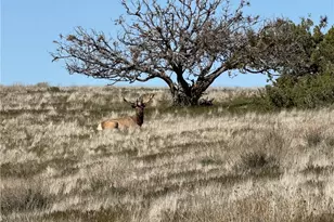 8050 Bitterwater Rd, Shandon, CA 93461 - Photo 40