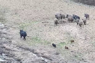 8050 Bitterwater Rd, Shandon, CA 93461 - Photo 36