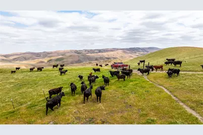 8050 Bitterwater Road, Shandon, CA 93461 - Photo 4