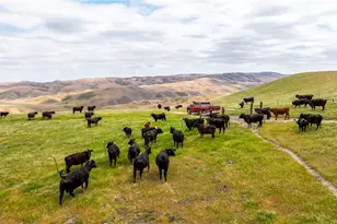 8050 Bitterwater Rd, Shandon, CA 93461 - Photo 4