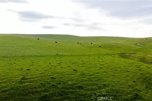 8050 Bitterwater Rd, Shandon, CA 93461 - Photo 20