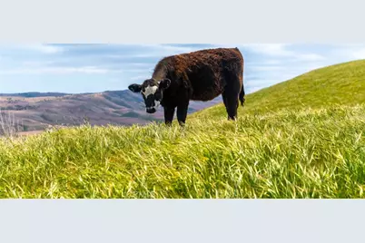 8050 Bitterwater Road, Shandon, CA 93461 - Photo 4