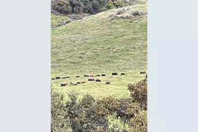 8050 Bitterwater Road, Shandon, CA 93461 - Photo 38