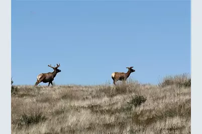 8050 Bitterwater Road, Shandon, CA 93461 - Photo 38