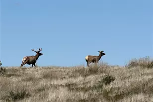 8050 Bitterwater Rd, Shandon, CA 93461 - Photo 38