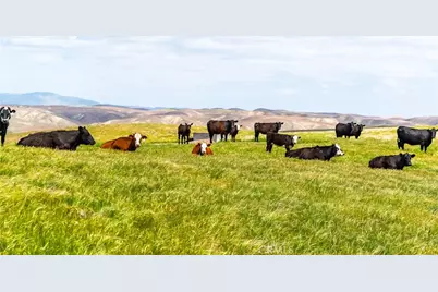 8050 Bitterwater Road, Shandon, CA 93461 - Photo 2