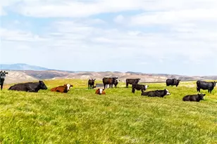 8050 Bitterwater Rd, Shandon, CA 93461 - Photo 2