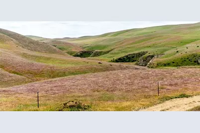 8050 Bitterwater Road, Shandon, CA 93461 - Photo 16