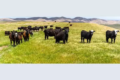 8050 Bitterwater Road, Shandon, CA 93461 - Photo 22