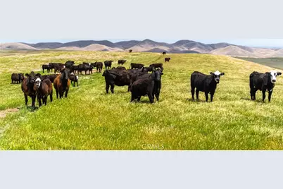 8050 Bitterwater Road, Shandon, CA 93461 - Photo 20