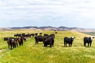 8050 Bitterwater Rd, Shandon, CA 93461 - Photo 20