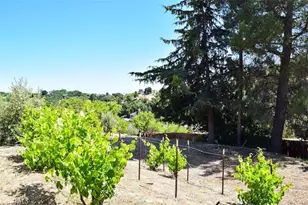 5 W 12th St, Paso Robles, CA 93446 - Photo 34