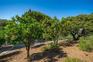 2650 Skyview Trail, San Luis Obispo, CA 93405 - Photo 56