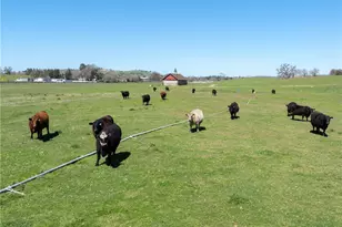 5010 Gate 4 Rd, Paso Robles, CA 93446 - Photo 50